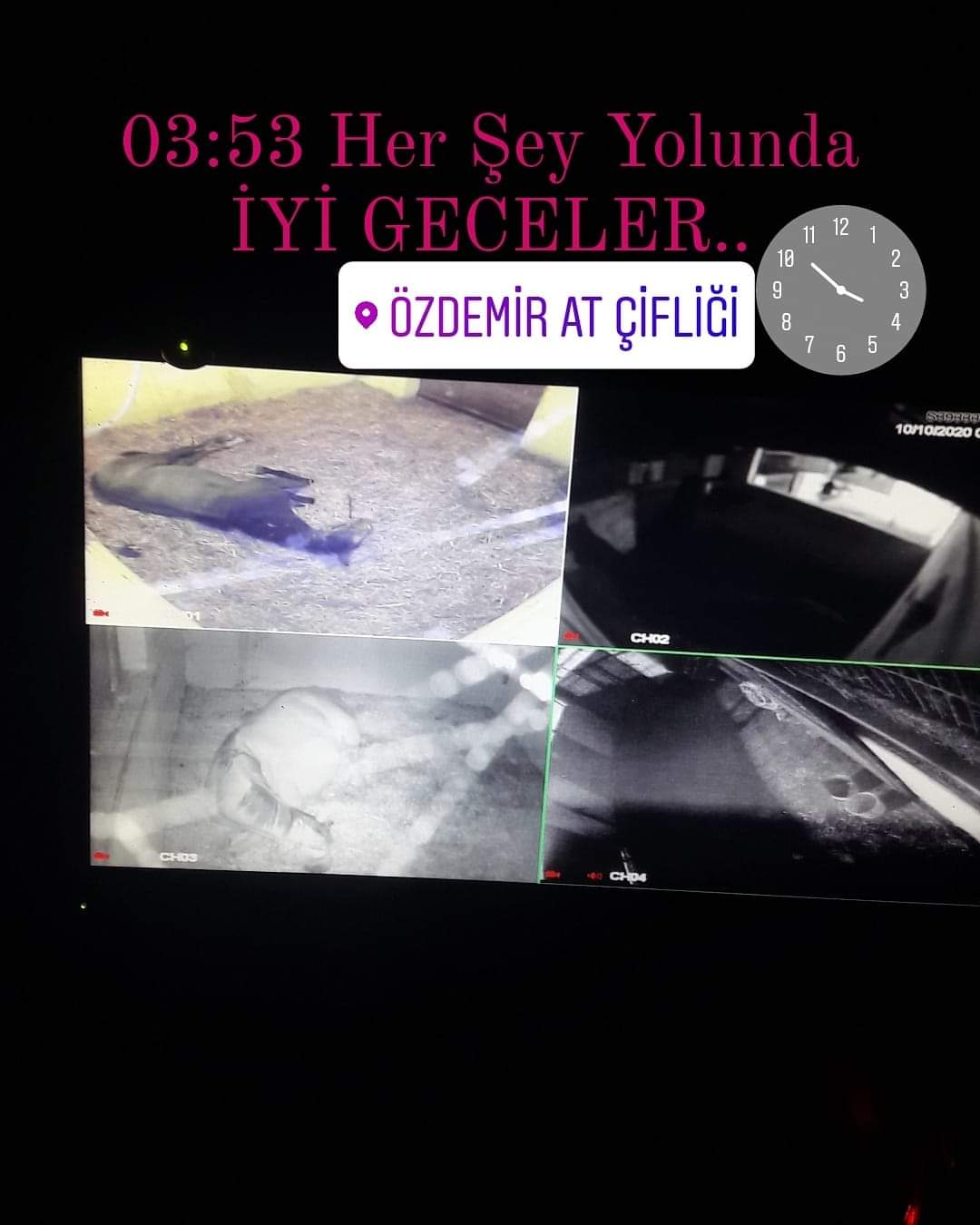 Özdemir At çiftliğine pansiyon alinacaktir