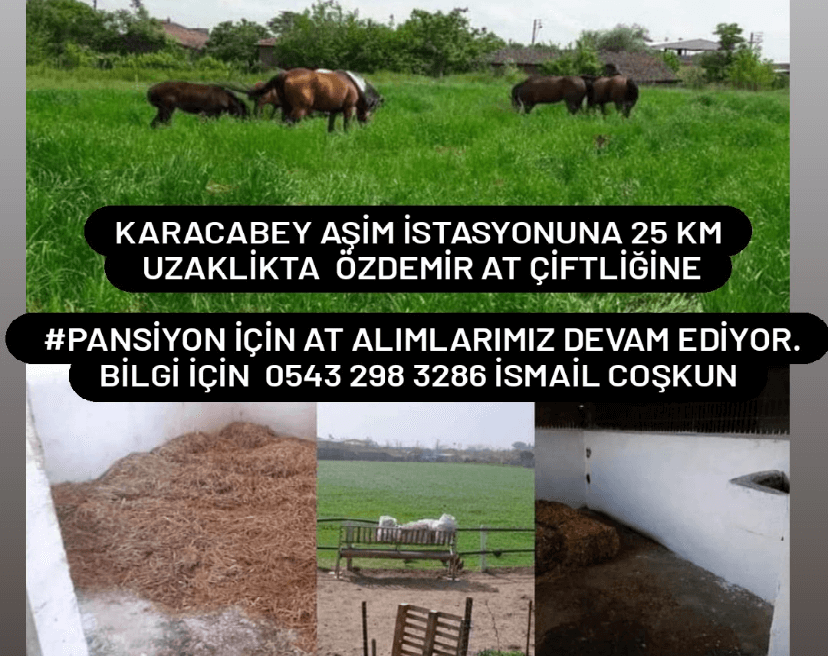 Özdemir At çiftliğine pansiyon alinacaktir