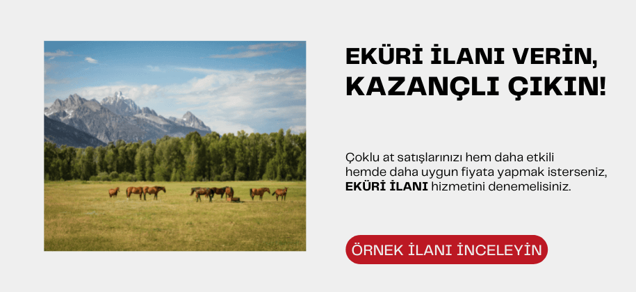 Eküri İlanı Ver