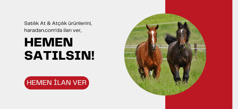 Hemen İlan Ver